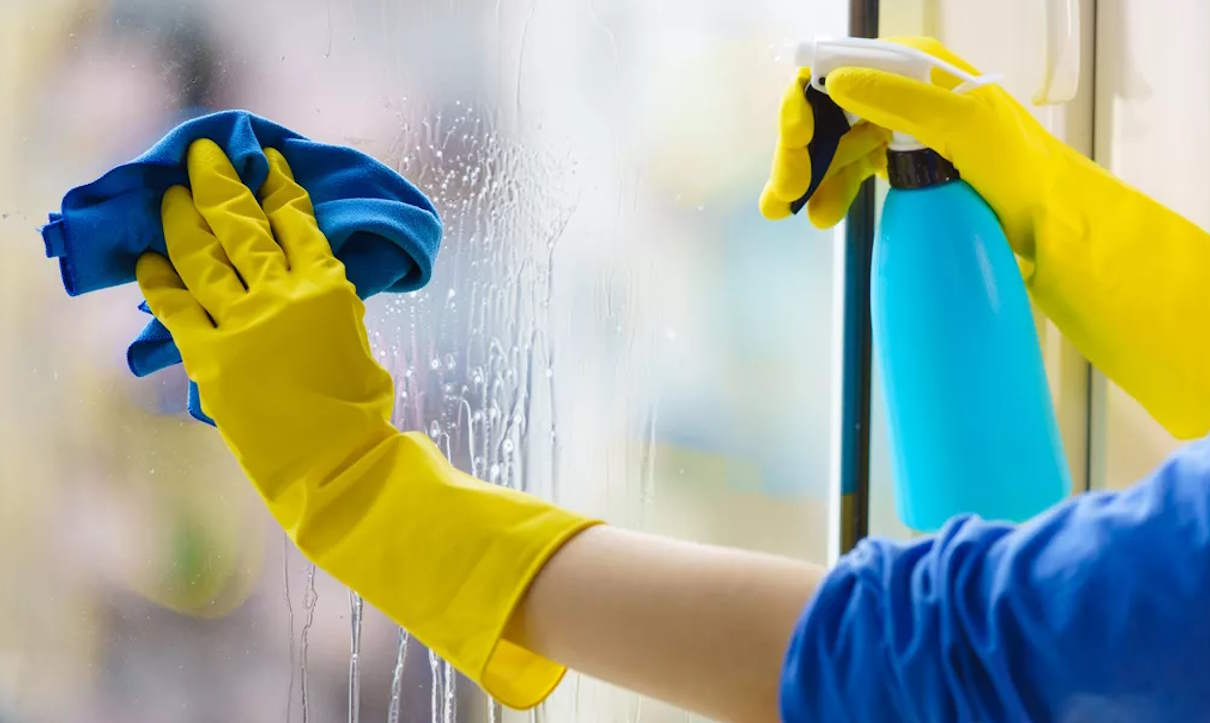 window cleaning services